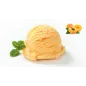 Pasta per Gelato frutta gusto Albicocca 3.5 kg Pasta per Gelato frutta gusto Albicocca 3.5 kg