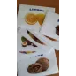 Set di Cartoncini Gusti gelato attacca e stacca