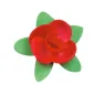 Rose in Ostia colorate 200 pezzi assortite