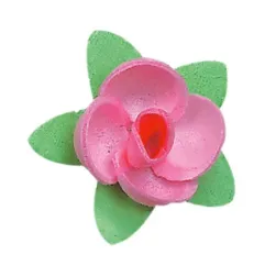 Rose in Zucchero colorate