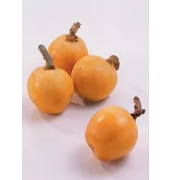Stelo per Nespola di martorana