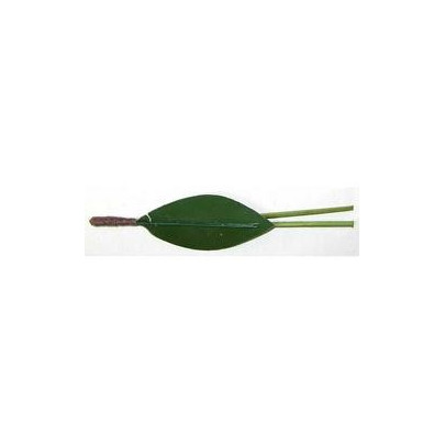 Feuilles pour cerises de Martorana avec deux tiges