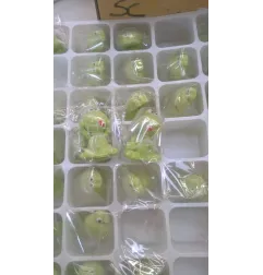 ranocchi in zucchero 3d segnaposto