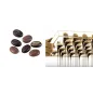 Polycarbonat-Pralinenform mit Kaffeebohnenmotiv