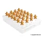 Espositore per Gelati su stecco - Cake pop e Mini Coni gelato