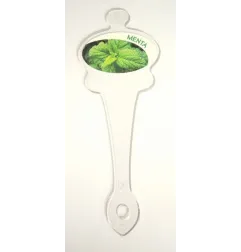 Stick Segnagusto trasparenti ad immersione per gelati