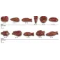Stampo per cioccolatini Pesciolini Stampo per cioccolatini Pesciolini