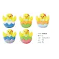 Flat sugar chicks