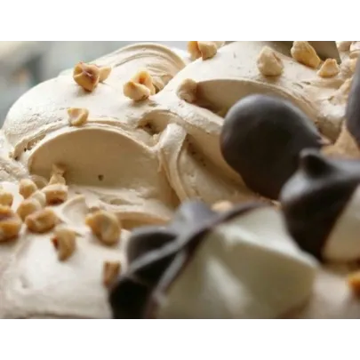 Pasta per Gelato Nocciola Pura Scura 5 kg