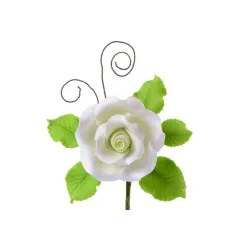 Ramo Rose e foglie in pastigliaggio