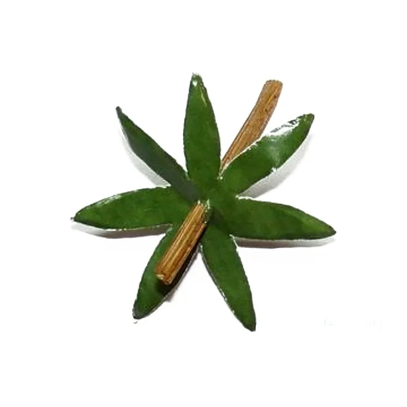 Ready-to-use tomato leaves for Martorana fruit