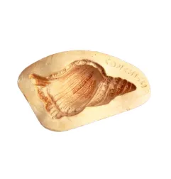 Stampo Conchiglia frutta martorana