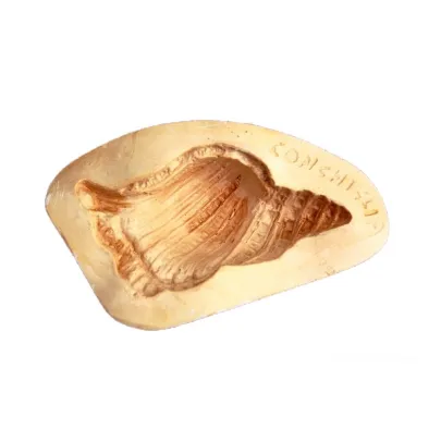 Molde de concha para fruta martorana