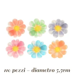 Margheritine in Ostia per decorazioni