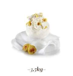 Preparato per gelato Fichi