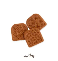 1000 pezzi Biscotto Minibon Retinato Cacao kg 5