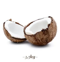 Kokos-Paste für Fruchteis