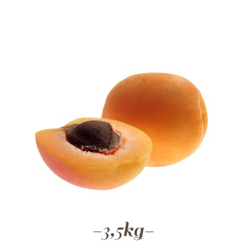 Pasta per Gelato frutta gusto Albicocca 3.5 kg Pasta per Gelato frutta gusto Albicocca 3.5 kg