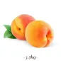 Pasta per Gelato frutta gusto Pesca 3.5 KG Pasta per Gelato frutta gusto Pesca 3.5 KG