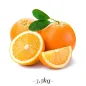 Orange paste for fruit ice cream 3.5 KG