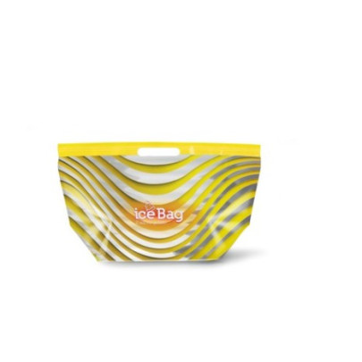 100 sacs isothermes Ice pour glaces et aliments