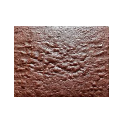 Génoise au cacao, 3 feuilles 38x54, h 1,3 cm (1.67 kg)