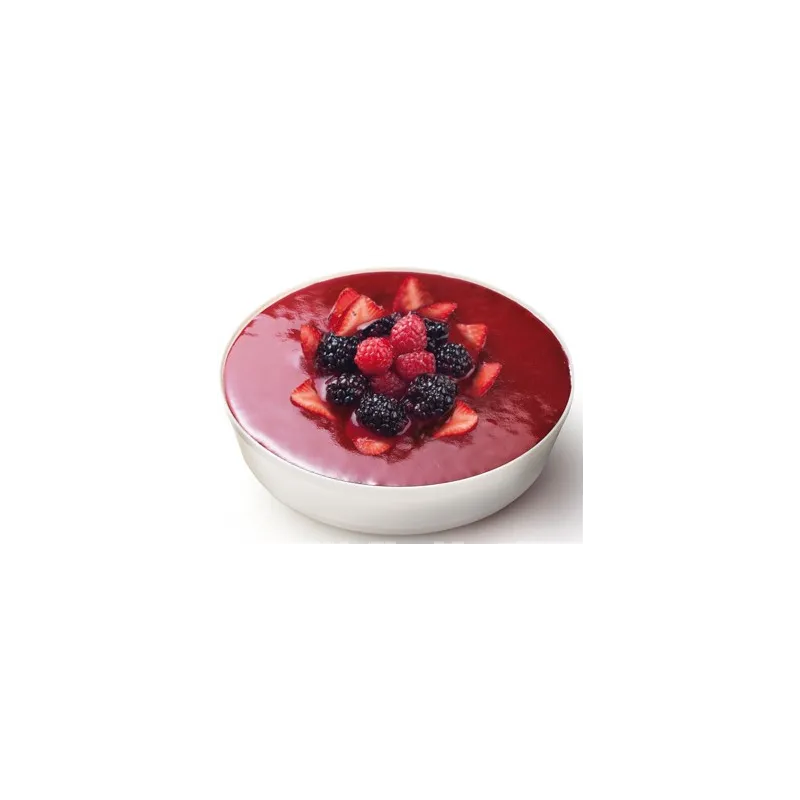 Contenitore per Torta Gelato con Coperchio e Fondo Mobile 1 Pezzo Contenitore per Torta Gelato con Coperchio e Fondo Mobile 1 Pezzo