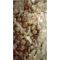 Müsli-Ringe mit Schokoladenüberzug 1kg
