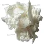 Rottura di Meringhe Bianche 3,5 kg
