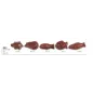 Mare Mixed Chocolate Mould, 35 Shapes