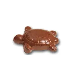 Moule pour tortue en chocolat
