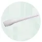 Biologisch abbaubare Palette, beige, 10 cm, 1 kg, für Eis und Desserts (ca. 641 Stück)