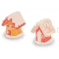 Caramelle a forma di casetta 3d in zucchero innevate Gluten free Caramelle a forma di casetta 3d in zucchero innevate Gluten free