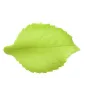 Hoja ovalada verde de azúcar, 4 cm - 100 unidades Hoja ovalada verde de azúcar, 4 cm - 100 unidades
