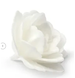 Rosa Cinese Media in Ostia Decorativa Ø 5,5 cm - 18 pz