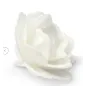 Rosa Cinese Media in Ostia Decorativa Ø 5,5 cm - 18 pz