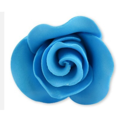 HELLBLAUE ZUCKERROSE