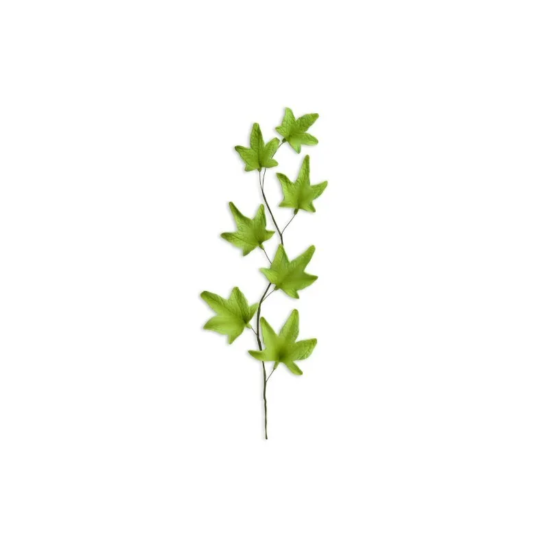 Ivy-leaf branch in pastillage Ivy-leaf branch in pastillage