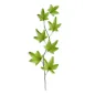 Ivy-leaf branch in pastillage Ivy-leaf branch in pastillage