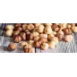2 kg Nocciola Piemonte I.G.P. Tostata Intera 2 kg Nocciola Piemonte I.G.P. Tostata Intera