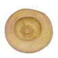 Stampo martorana Loto Stampo martorana Loto
