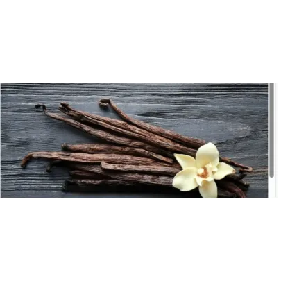 Bagna per torte Analcolica Vaniglia 2LT