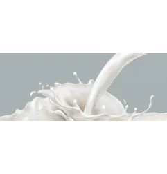 Latte Condensato Zuccherato 5 KG