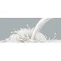 Latte Condensato Zuccherato 9% 10 KG in 2BAGBOX Latte Condensato Zuccherato 9% 10 KG in 2BAGBOX