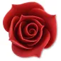 BOCCIOLO DI ROSA ROSSO ZU @5 BOCCIOLO DI ROSA ROSSO ZU @5