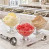Sorbet & Granita Mixes